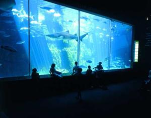 Aquarium